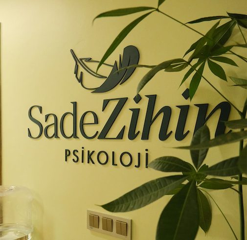 sadezihin-giriş-logo
